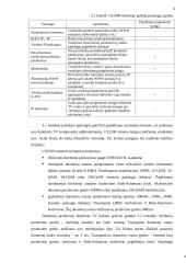 Prisijungimas prie interneto naudojant TV tinklus 4 puslapis