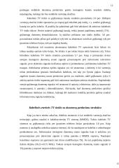 Prisijungimas prie interneto naudojant TV tinklus 10 puslapis