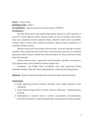 Projektas: pagyvenusių žmonių laisvalaikio centro kūrimas "Aušrinė" 2 puslapis