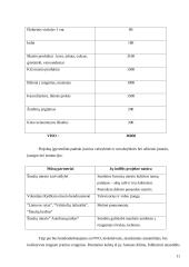 Projektas: pagyvenusių žmonių laisvalaikio centro kūrimas "Aušrinė" 11 puslapis