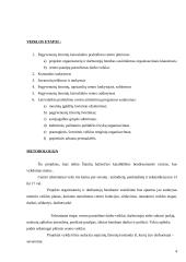 Projektas: pagyvenusių žmonių laisvalaikio centro kūrimas "Aušrinė" 4 puslapis