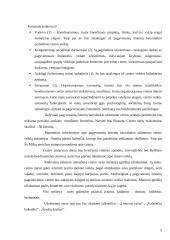 Projektas: pagyvenusių žmonių laisvalaikio centro kūrimas "Aušrinė" 5 puslapis