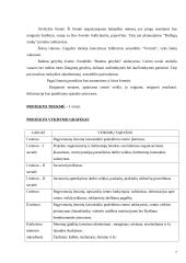 Projektas: pagyvenusių žmonių laisvalaikio centro kūrimas "Aušrinė" 7 puslapis