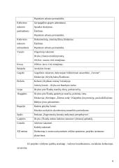 Projektas: pagyvenusių žmonių laisvalaikio centro kūrimas "Aušrinė" 8 puslapis