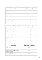 Projektas: pagyvenusių žmonių laisvalaikio centro kūrimas "Aušrinė" 10 puslapis