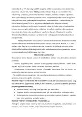 Projekto paraiška: Laisvalaikio užimtumo projektas 2 puslapis