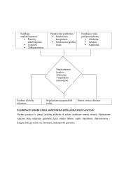 Projekto paraiška: Laisvalaikio užimtumo projektas 3 puslapis