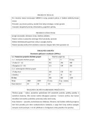 Projekto paraiška: Laisvalaikio užimtumo projektas 4 puslapis