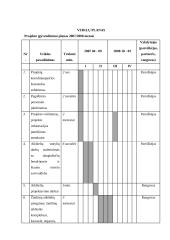 Projekto paraiška: Laisvalaikio užimtumo projektas 6 puslapis