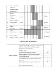 Projekto paraiška: Laisvalaikio užimtumo projektas 7 puslapis