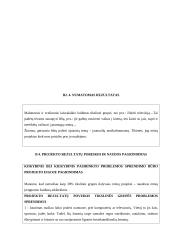 Projekto paraiška: Laisvalaikio užimtumo projektas 10 puslapis