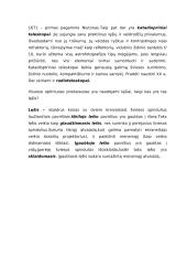 Projektoriai ir žiūronai 13 puslapis