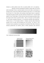 Rastravimas, rastravimo priemonės 11 puslapis