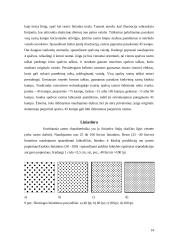 Rastravimas, rastravimo priemonės 14 puslapis