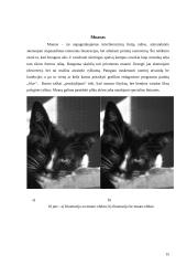 Rastravimas, rastravimo priemonės 15 puslapis