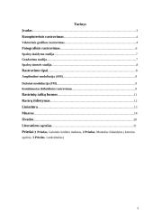 Rastravimas, rastravimo priemonės 3 puslapis