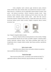 Rastravimas, rastravimo priemonės 9 puslapis