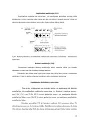Rastravimas, rastravimo priemonės 10 puslapis