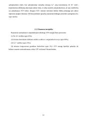 Raumens funkcinė struktūra, susitraukimo ir atsipalaidavimo mechanizmai 14 puslapis