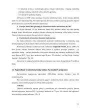 Regioninė politika - Europos sąjungos struktūrinės politikos dalis 10 puslapis