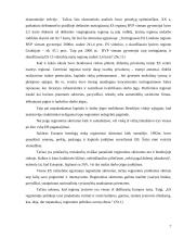 Regioninė politika - Europos sąjungos struktūrinės politikos dalis 6 puslapis