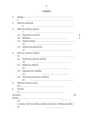 Rėmimo veiksmų grupės, jų reikšmė ir esmė 2 puslapis
