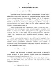 Rėmimo veiksmų grupės, jų reikšmė ir esmė 17 puslapis