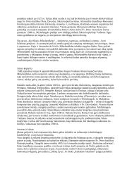 Renesanso laikotarpis 4 puslapis