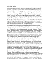 Gyvenimo prasmė pagal knygą ,,Džonatanas Livingstonas Žuvėdra"