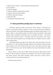 Riedmenų techninis eksploatavimas ir remontas 17 puslapis