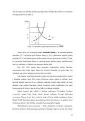 Rinkos pusiausvyra ir jos pokyčiai 13 puslapis