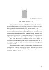 Rinkos pusiausvyra ir jos pokyčiai 15 puslapis