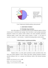 Rinkos tyrimas: sporto aprangos gamyba AB "Audimas" 11 puslapis