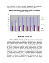 Rugstus Lietus Referatai