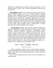 Rūgštūs lietūs 6 puslapis