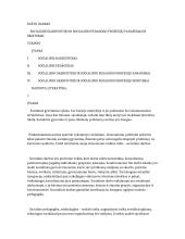 Socialinio darbuotojo ir socialinio pedagogo profesijų skirtumai ir panašumai