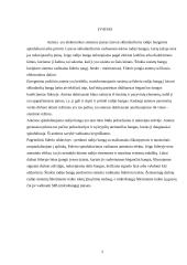 Ruporinės antenos 3 puslapis