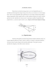 Ruporinės antenos 4 puslapis