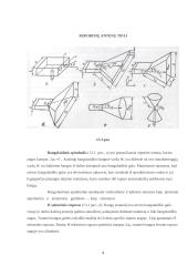 Ruporinės antenos 5 puslapis