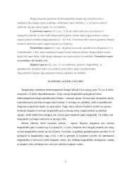 Ruporinės antenos 6 puslapis