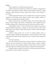 Sandėliuose atliekamos operacijos