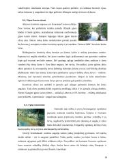 Saugomų teritorijų tinklas "Natura 2000" 15 puslapis