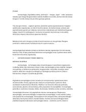 Ekonominė organizacija