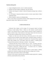 Saugus darbas. Avarijos ir katastrofos. Žmonių gelbėjimas gaisro atveju 6 puslapis