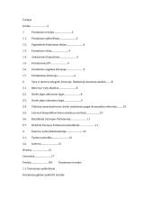 Feminizmo apraiškos Lietuvoje