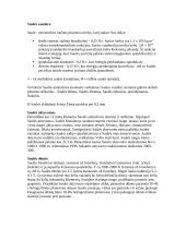 Saulės charakteristika 3 puslapis