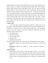 Senėjimo procesas 2 puslapis