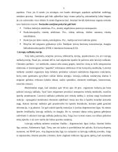 Senėjimo procesas 4 puslapis