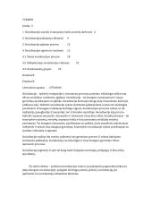 Individo socializacija