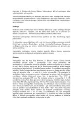 Seniausia pasaulio profesija 13 puslapis